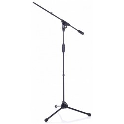 BESPECO MS11EVO Asta Mic professionale