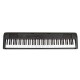 ECHORD DP-1 Piano Digitale 88 tasti pesati black