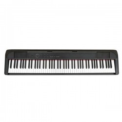ECHORD DP-1 Piano Digitale 88 tasti pesati black