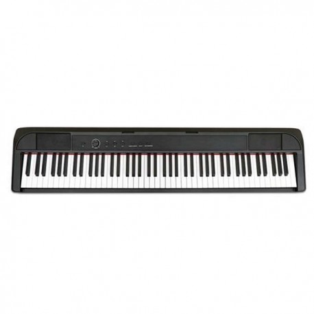 ECHORD DP-1 Piano Digitale 88 tasti pesati black