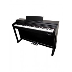 ECHORD DPX-100 Piano Digitale 88 tasti pesati nero lucido