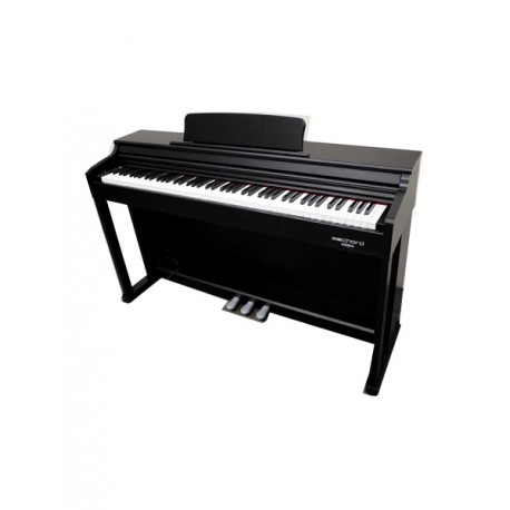ECHORD DPX-100 Piano Digitale 88 tasti pesati nero lucido