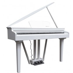 ECHORD GP-10 Piano Digitale 88 tasti pesati bianco