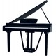 ECHORD GP-10 Piano Digitale 88 tasti pesati black