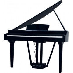 ECHORD GP-10 Piano Digitale 88 tasti pesati black