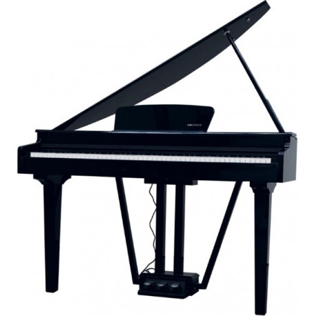 ECHORD GP-10 Piano Digitale 88 tasti pesati black