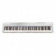 ECHORD DP-1 Piano Digitale 88 tasti pesati bianco