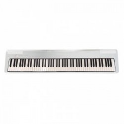 ECHORD DP-1 Piano Digitale 88 tasti pesati bianco