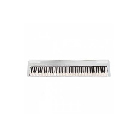 ECHORD DP-1 Piano Digitale 88 tasti pesati bianco