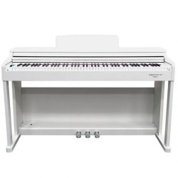 ECHORD DPX-100 Piano Digitale 88 tasti pesati bianco