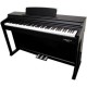 ECHORD DPX-100 Piano Digitale 88 tasti pesati nero