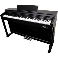 ECHORD DPX-100 Piano Digitale 88 tasti pesati nero